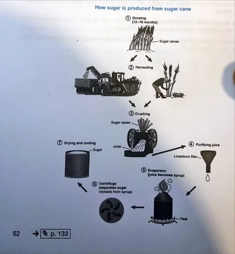 The diagram shows the manufacturing process for making sugar from sugar cane.