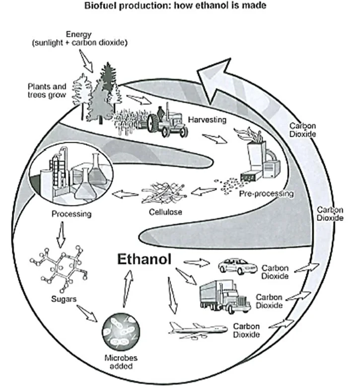 The diagram below shows how a biofuel called ethanol is produced.
